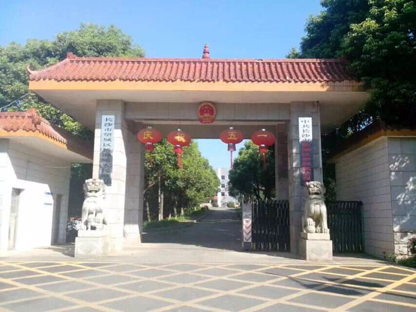 望城桥驿镇政府Ф600mm 污水拉管工程